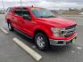 2019 RED /Gray FORD F-150 XLt (1FTEW1E40KK) with an 3.5L engine, Automatic transmission, located at 1960 Industrial Drive, Wasilla, 99654, (907) 274-2277, 61.573475, -149.400146 - Photo#5